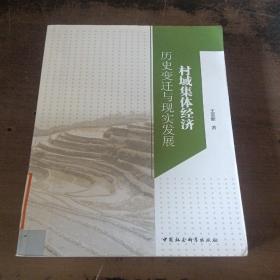 村域集体经济 历史变迁与现实发展