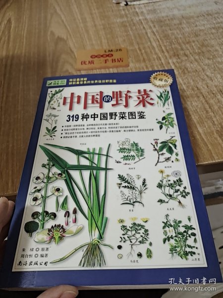 319种中国野菜图鉴