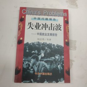 失业冲击波:中国就业发展报告