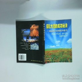 摄影大师的成功秘诀 铸造照片的视觉冲击力  汤姆 麦凯著 司大宇译 浙江摄影出版社