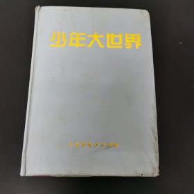 少年大世界 2004（1-12）合订本 中学版