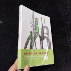 种子的信仰