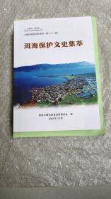 大理州政协文史资料第二十一辑:洱海保护文史集萃