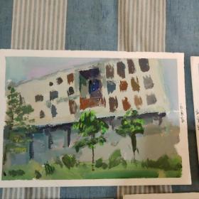 杜勇泉油画小品5张合售