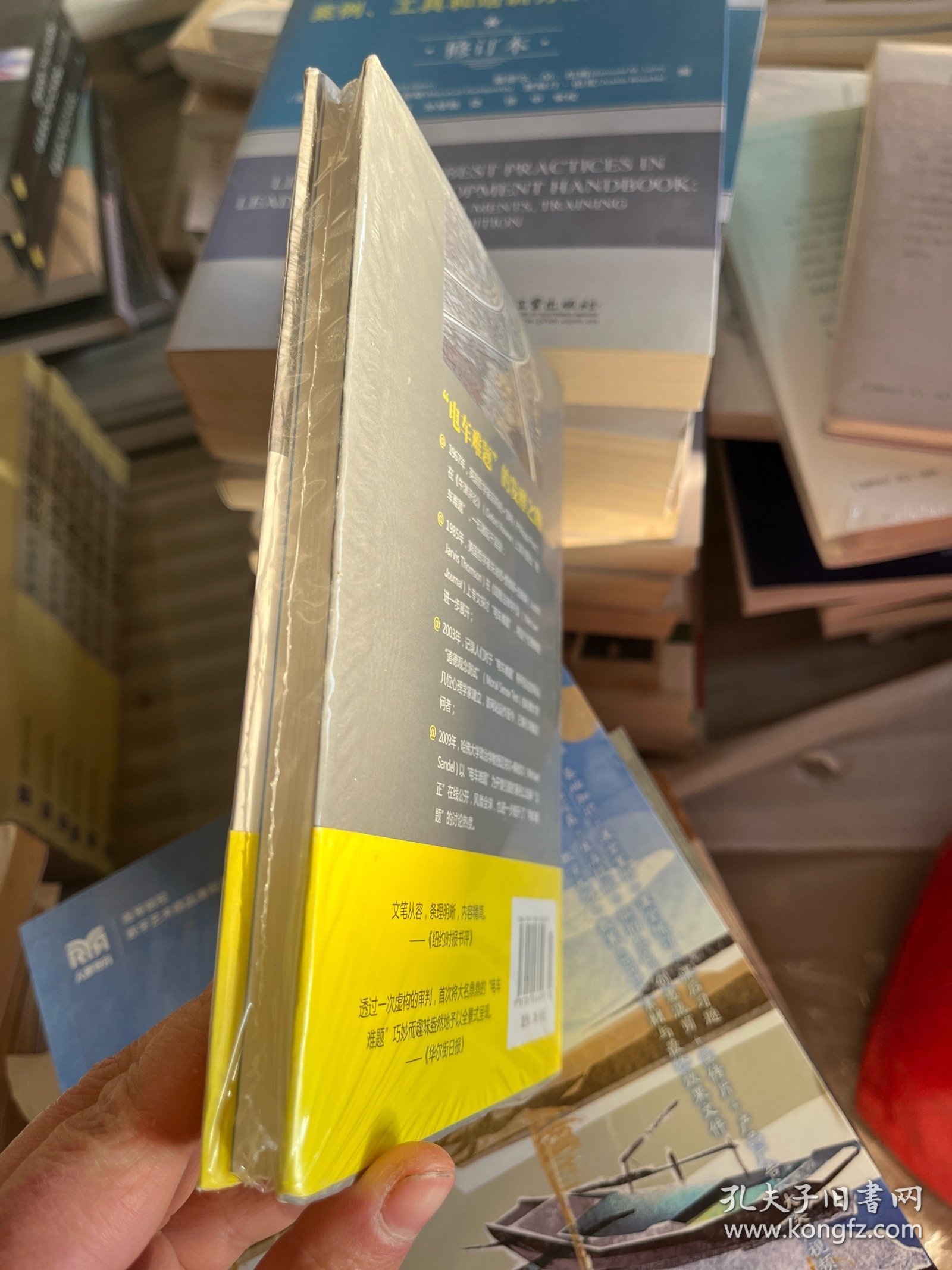 电车难题：该不该把胖子推下桥