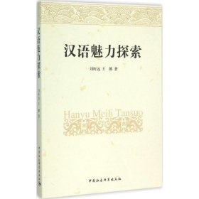 【正版书籍】汉语魅力探索