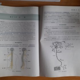 系统解剖学（第3版 八年制 配增值）