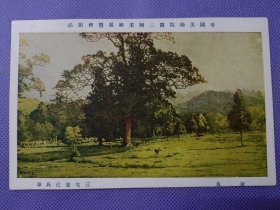 00812 日本 绘画版 风景 奈良 帝国美术院 第二回美术展览会出品 民国 时期 老 明信片 包邮政挂号信