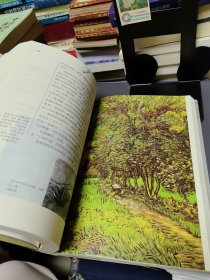 《凡·高:插图本书信体自传》【正版现货,品如图所有图片都是实物拍摄】
