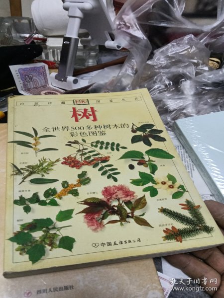 树：全世界500多种树木的彩色图鉴