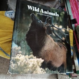 Wild Animals of North America北美的野生动物