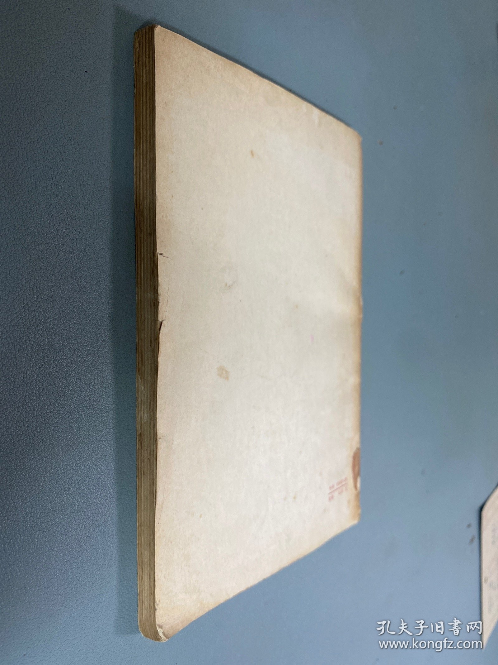 魏晋南北朝史论丛续编