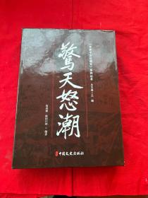 《甘井子文化通览》系列丛书——鹭天怒潮 （上下册）