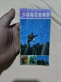 少林梅花桩精拳