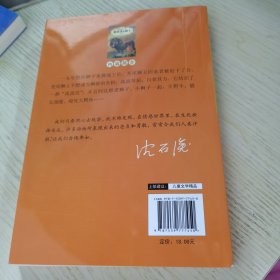 中外动物小说精品（升级版）：被放逐的狮王