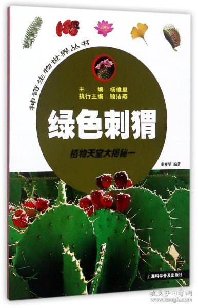 绿色刺猬——植物天堂大揭秘一