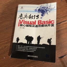 老兵新传：Visual Basic核心编程及通用模块开发