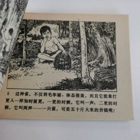 精品连环画：《红河泪》