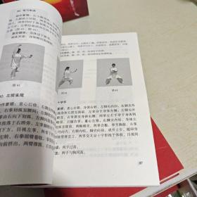 武术功夫统编教材【初级，中级，高级】全3册合售  库存书]