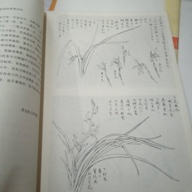 中国画自学丛书：《怎样画菊花》《怎样画梅花》《怎样画花卉》《怎样画兰花》四册合售