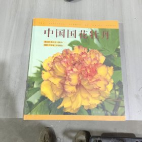 中国国花牡丹 春牡丹 秋牡丹 冬牡丹