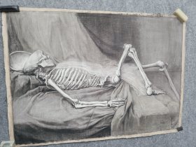 毛焰素描作品