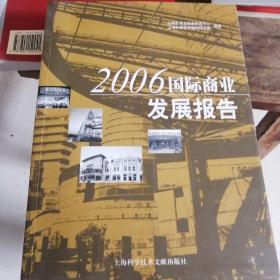 2006国际商业发展报告