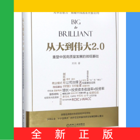 從大到偉大2.0(重塑中國高質(zhì)量發(fā)展的微觀基礎(chǔ))(精)