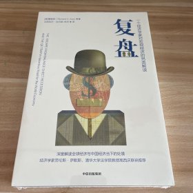 复盘?一个经济学家对宏观经济的另类解读?中信出版社