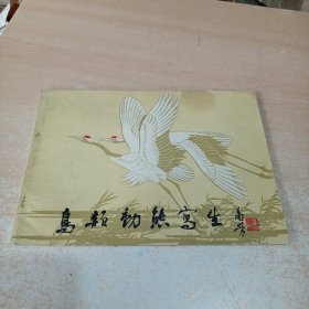 鸟类动态写生 贺伯英编绘 中国旅游出版社