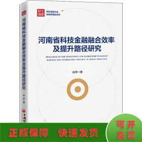 河南省科技金融融合效率及提升路径研究