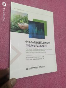 中小企业融资的高级原则评估框架与国际实践/数字普惠金融译丛