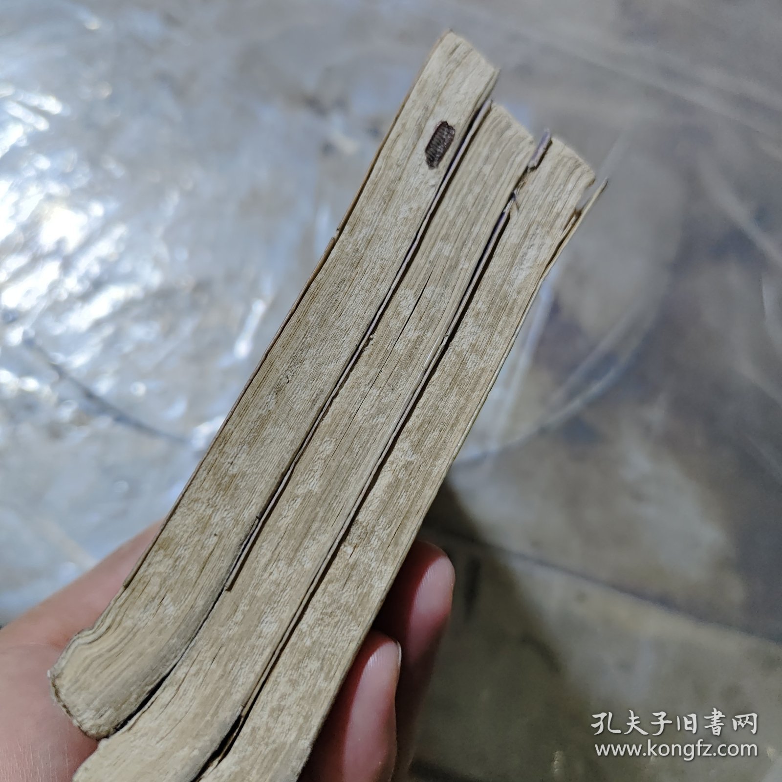 金鼎游龙,都龙生 上中下