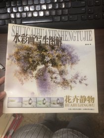 水彩画写生图解：花卉静物