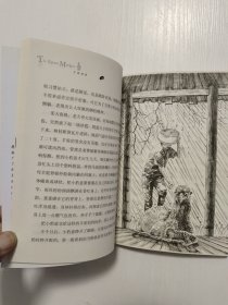 沈石溪精选动物小说 羊驼妈妈