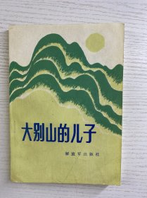 大别山的儿子（1987年一版一印）正版如图、内页干净