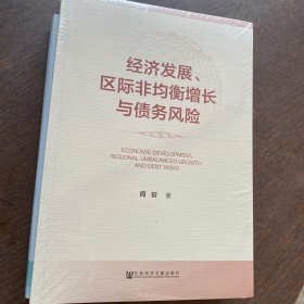 经济发展、区际非均衡增长与债务风险