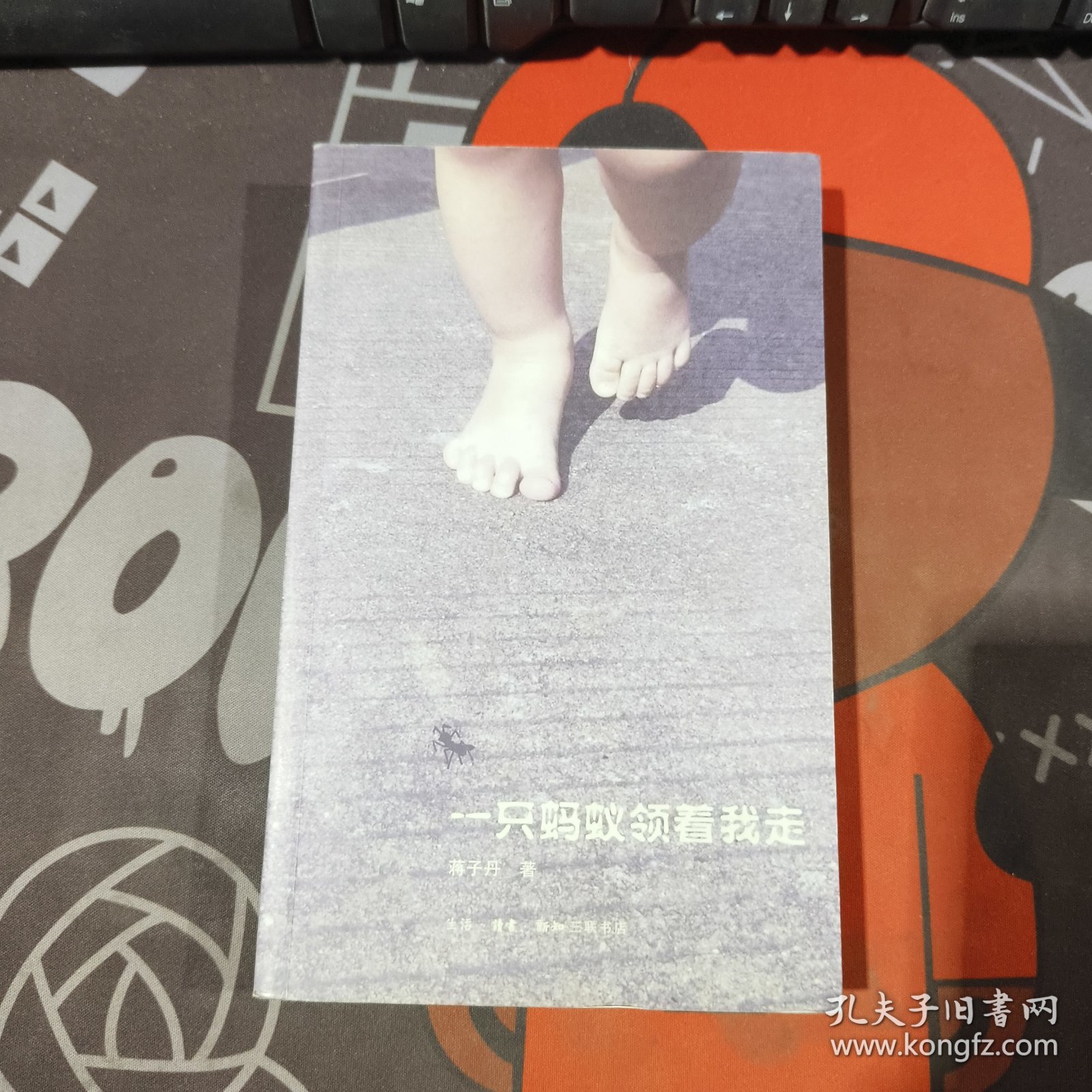 一只蚂蚁领着我走（一版一印）