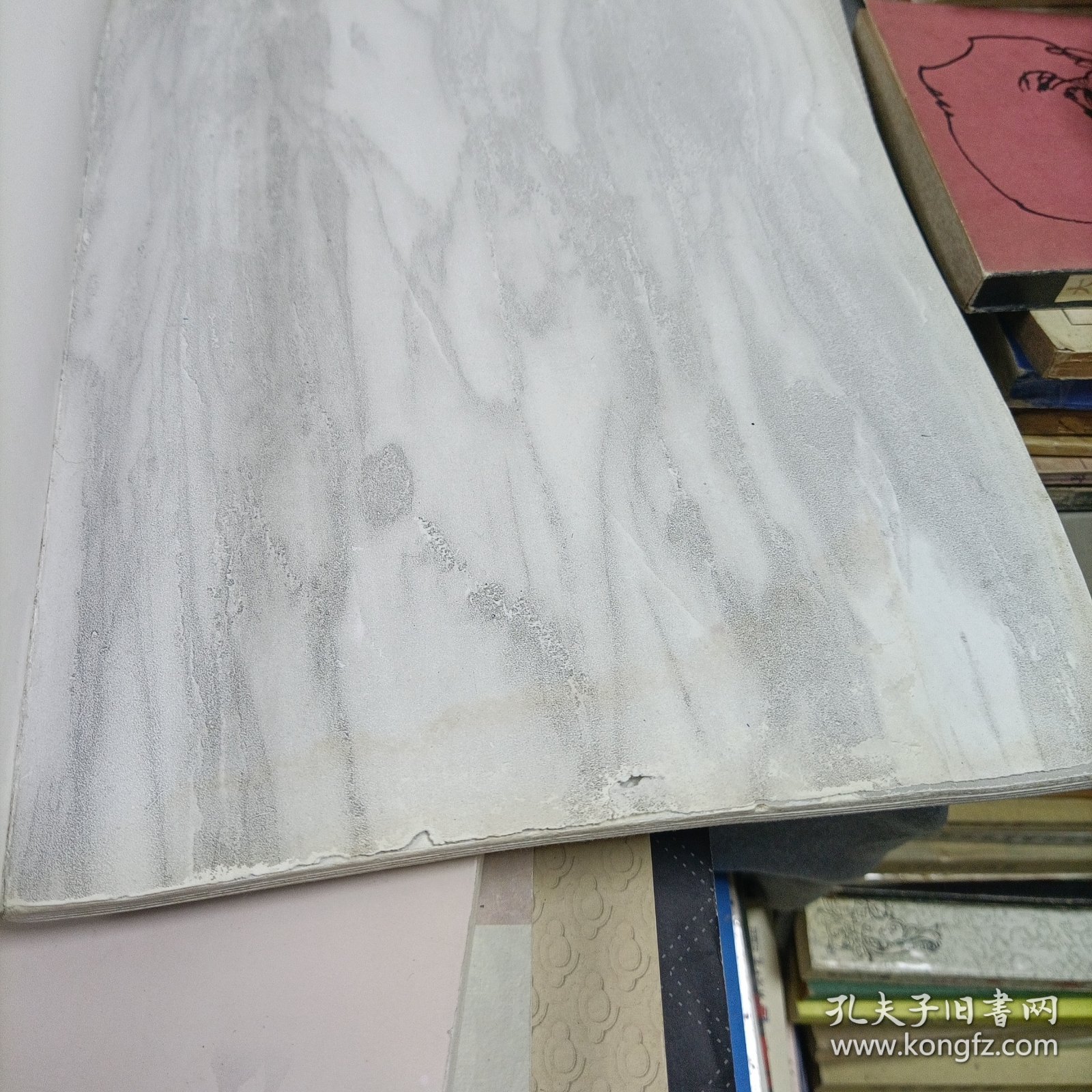 王天一花鸟画集【受潮水印】、学爱工笔花鸟画选【秦学爱】