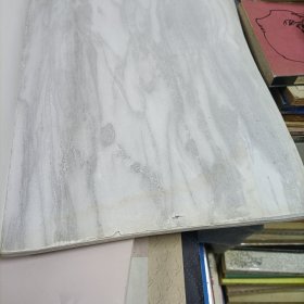 王天一花鸟画集【受潮水印】、学爱工笔花鸟画选【秦学爱】