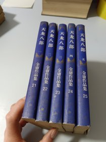 天龙八部（1-5册）