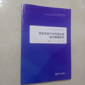 灵武市地下水饮用水源供水保障研究