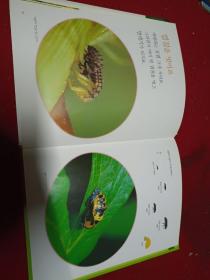 韩国原版儿童书百科书(狮七星瓢虫) 韩语 韩文 彩图 16开 绘本精装图书 二手书籍卖出不退不换，外观见图