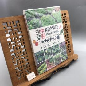 空中菜园：用种菜箱实现城市田园乐