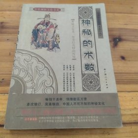 神秘的术数：中国算命术研究与批判