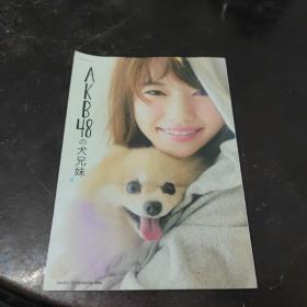 AKB48の犬兄妹 写真集