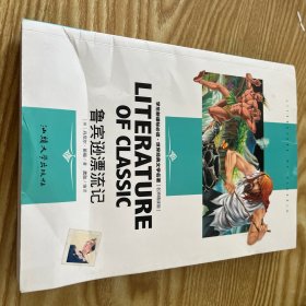 鲁宾逊漂流记，