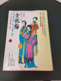 皋鹤堂批评第一奇书金瓶梅 下册