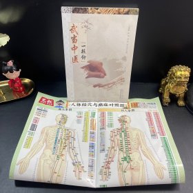 武当中医一根针 附人体经穴与病症对照图
