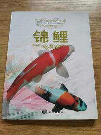 观赏鱼文化·鉴赏·饲养珍藏丛书：锦鲤（全书彩页）